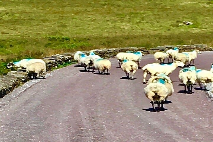 Exploring Ireland’s Ring of Kerry: A Private Tour Through Coastal Splendor photo 4