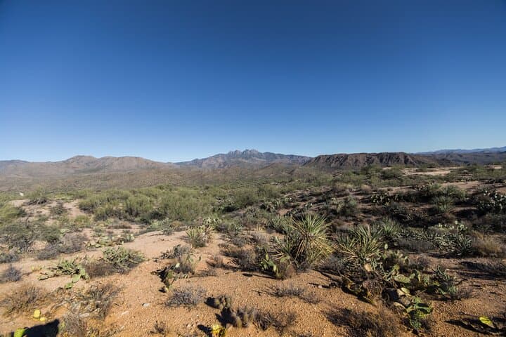 Explore the Apache Trail: A Half-Day Adventure Through Arizona’s Superstition Mountains photo 2