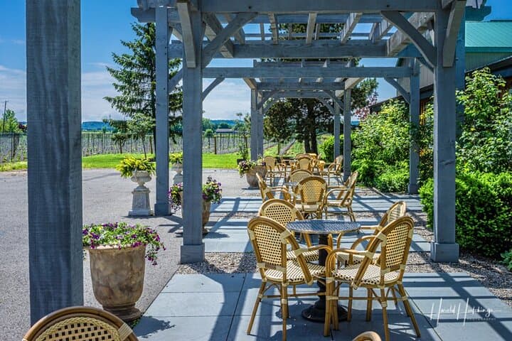 Private Custom Niagara Winery Tour from Niagara Falls, NY — Door-to-Door Tastings photo 4