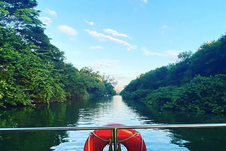 Half-Day Tijuca Lagoon Boat Tour: Caimans, Capybaras & Sunset in Rio photo 2