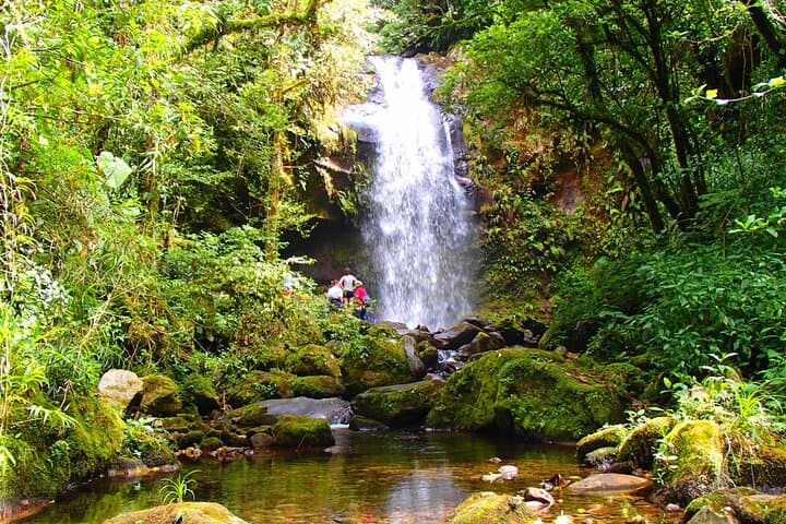 Half-Day Cloud Forest Wildlife Hike on the Pipeline Trail — Boquete photo 4