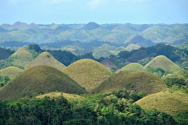 Bohol Day Tour: Chocolate Hills, Tarsiers & Loboc River Cruise photo 3