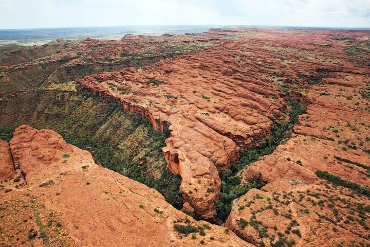 Desert Explorer Scenic Flight: Aerial Views of Uluru, Kata Tjuta & Kings Canyon photo 2