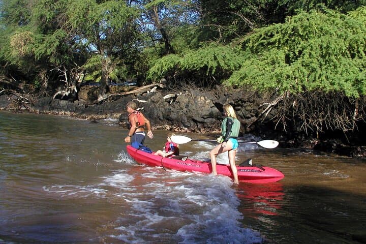 Makena Kayak & Snorkel: Paddle to Turtle Gardens on Maui’s South Shore photo 4