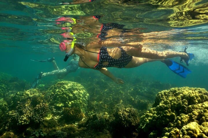 Makena Kayak & Snorkel: Paddle to Turtle Gardens on Maui’s South Shore photo 5