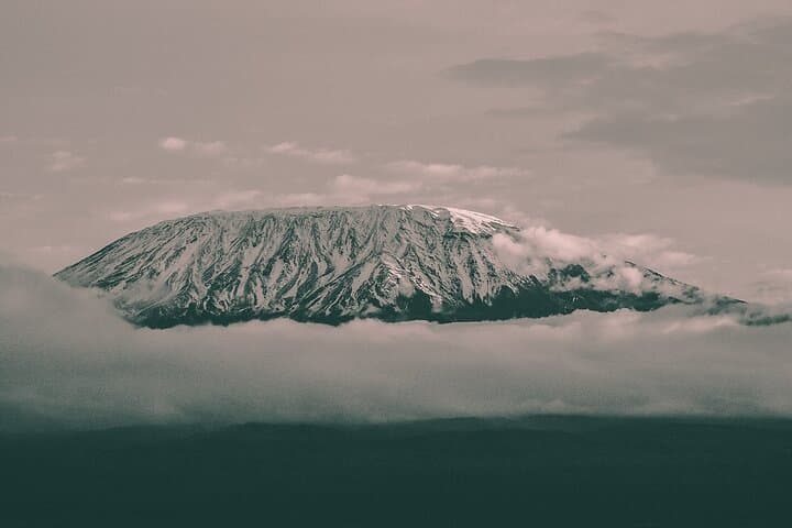Kilimanjaro Wanderlust: Rainforest Day Hike Near Moshi