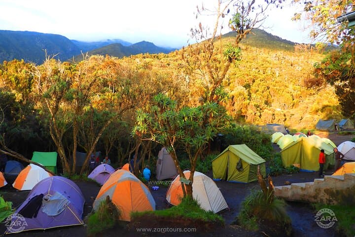 8-Day Mount Kilimanjaro Hiking Tour: A Step-by-Step Summit Adventure from Arusha photo 6