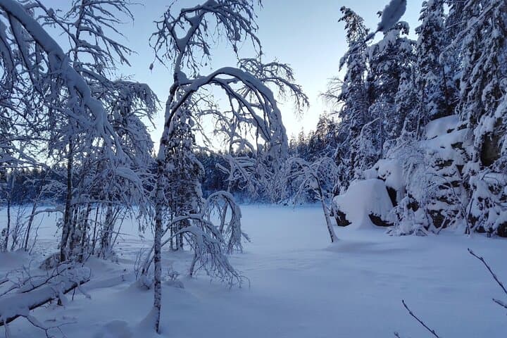 Half-Day Nuuksio National Park Hike from Helsinki — Lakes, Forests & Finnish Nature photo 4