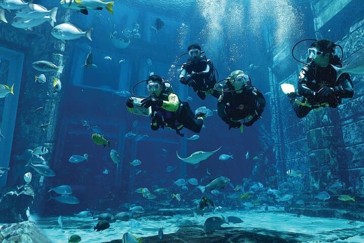 Dubai Lost Chambers Dive Discovery: Scuba in Atlantis’ Ambassador Lagoon photo 2