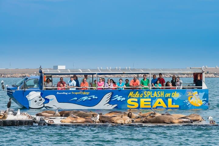 San Diego Seal Tour: Amphibious Shore Excursion from Seaport Village photo 2
