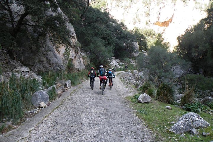 Half-Day Mountain Bike Tour to Serra de Tramuntana from Palma photo 2