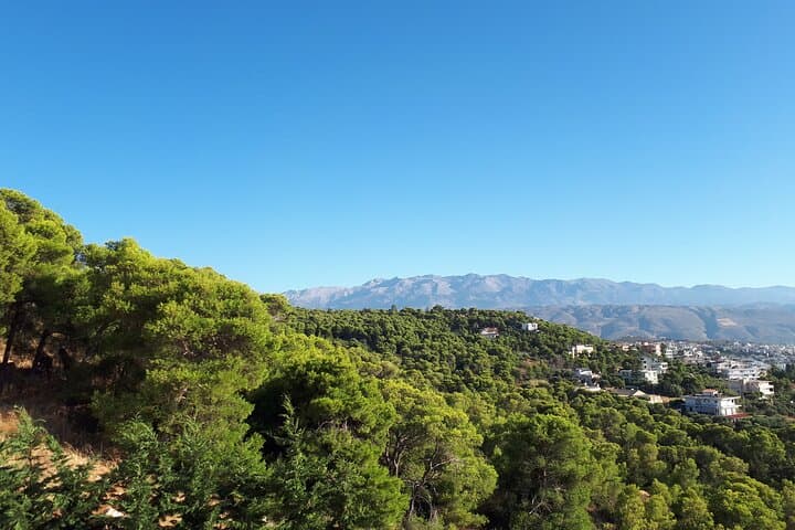 Chania Private Tour — Therisso Gorge, Historic Monasteries & Mountain Taverns photo 2
