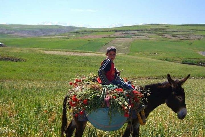 High Atlas Day Trip from Marrakech: Ourika Valley, Takerkoust & Berber Villages photo 5