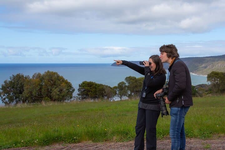 Guided Wildlife Walk on the Great Ocean Road — Conservation Ecology Centre Tour photo 2