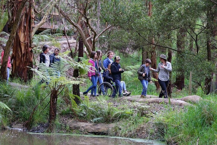 Guided Wildlife Walk on the Great Ocean Road — Conservation Ecology Centre Tour photo 3