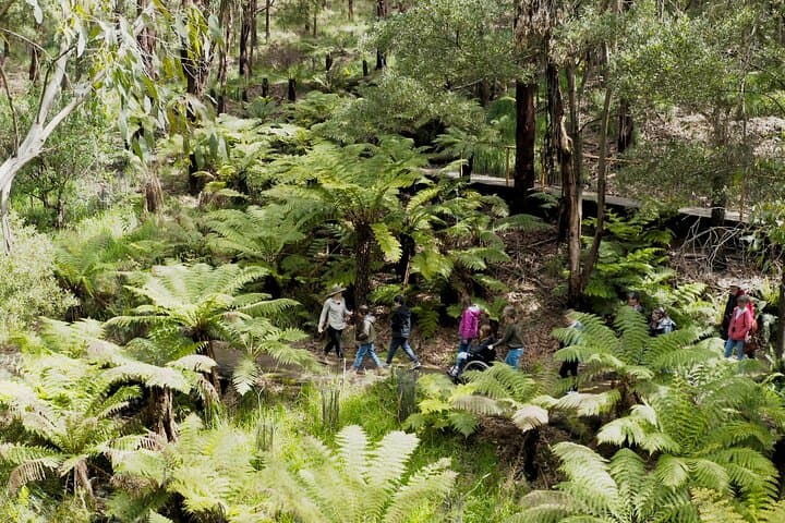 Guided Wildlife Walk on the Great Ocean Road — Conservation Ecology Centre Tour photo 4