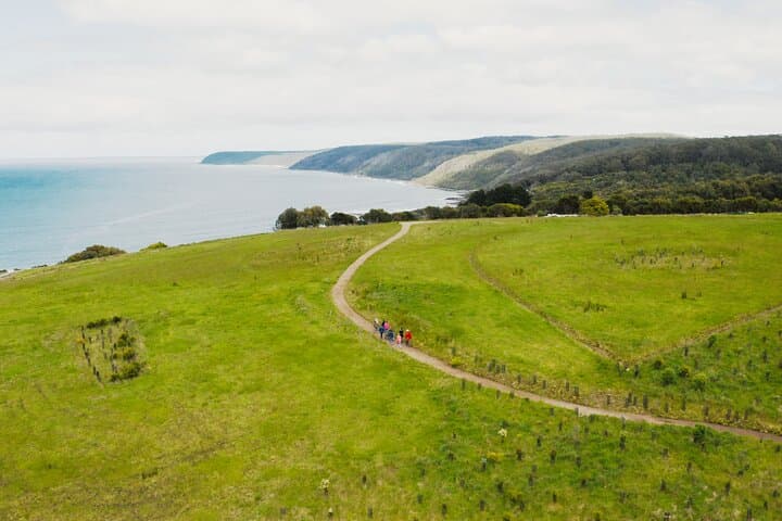 Guided Wildlife Walk on the Great Ocean Road — Conservation Ecology Centre Tour photo 5