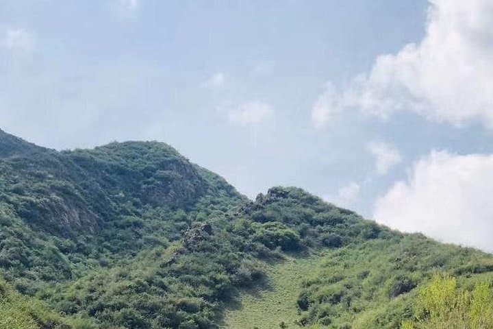 Nanshan Pasture & Tianshan Grand Canyon: Private Day Tour from Urumqi photo 2