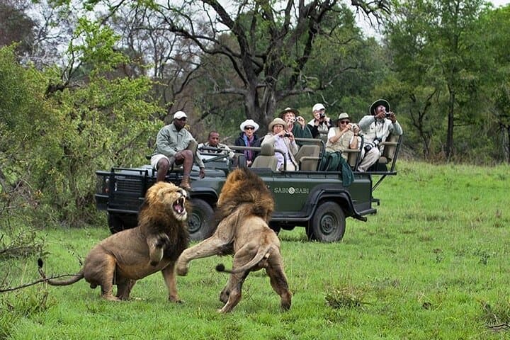 Chobe Full Day Trip: River Cruise and Game Drive from Livingstone photo 5