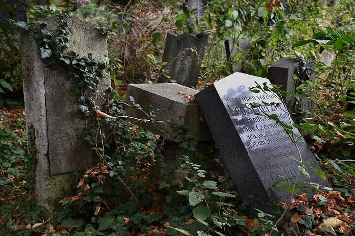 Mobile Puzzle Rally at Vienna Central Cemetery — Self-Guided Scavenger Hunt photo 2