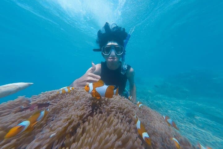 Nusa Dua Flyboard, Parasailing & Snorkeling Package at Tanjung Benoa photo 4