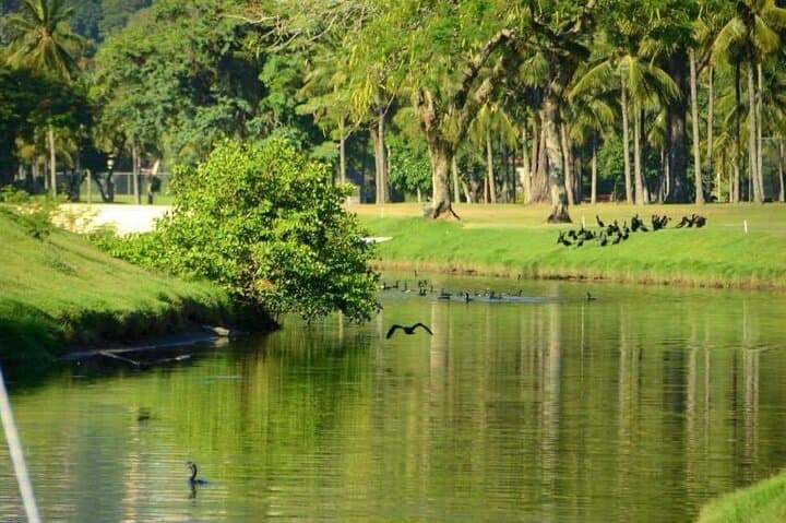 Half-Day Tijuca Lagoon Boat Tour: Caimans, Capybaras & Sunset in Rio photo 6