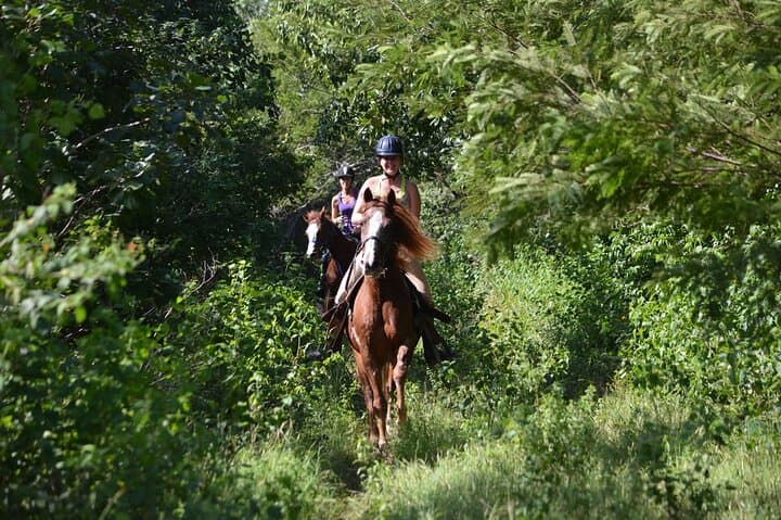 Private Classic Horseback Ride Through Punta Sam's Coastal Jungle