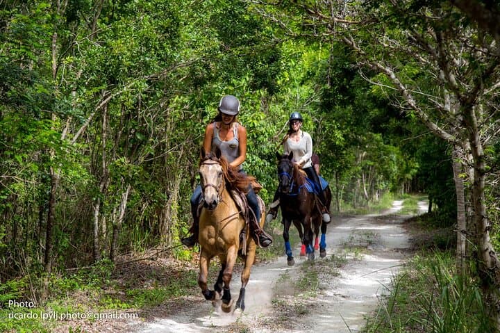 Private Classic Horseback Ride Through Punta Sam's Coastal Jungle photo 2