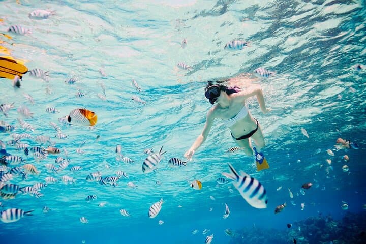 Full-Day Bora Bora Lagoon Tour with Snorkeling and Motu Lunch photo 6