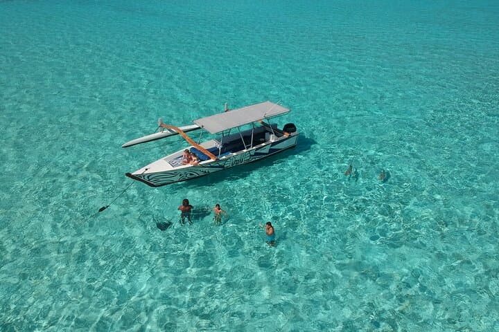 Full-Day Bora Bora Lagoon Tour — Snorkel Coral Gardens & Private Motu BBQ photo 2