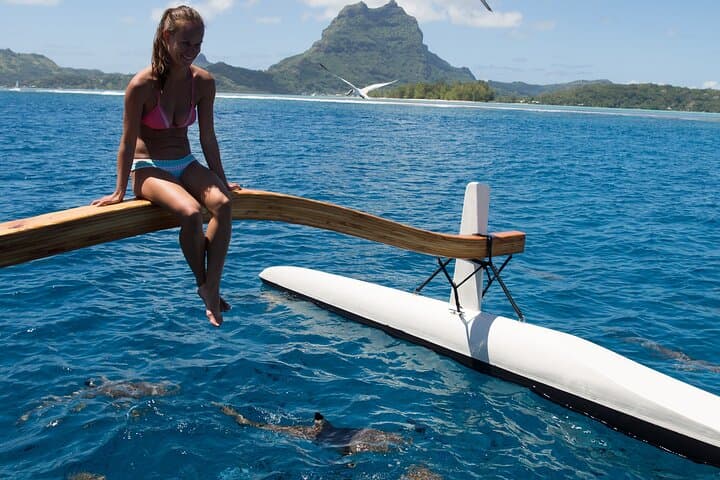 Bora Bora Private Half-Day Lagoon Snorkel Around Mt Otemanu photo 3