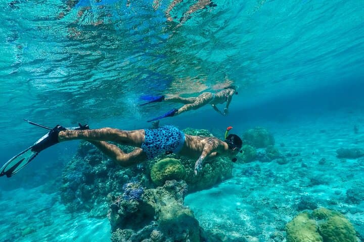 Bora Bora Private Half-Day Lagoon Snorkel Around Mt Otemanu photo 4
