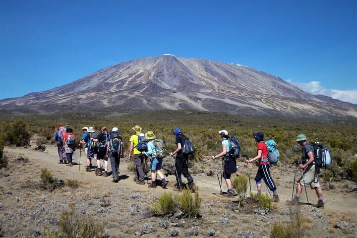 Kilimanjaro Marangu Route: 6-Day Guided Ascent to Uhuru Peak photo 3