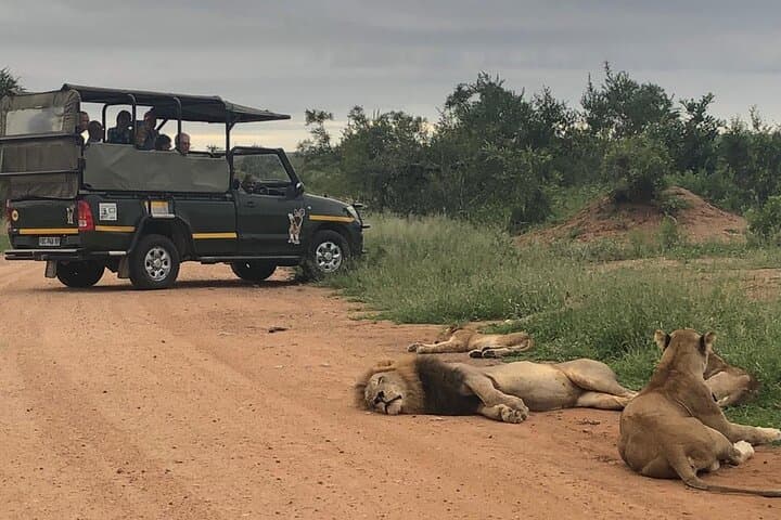 Kruger Private Afternoon Game Drive: Big Five Safari from Hazyview photo 3