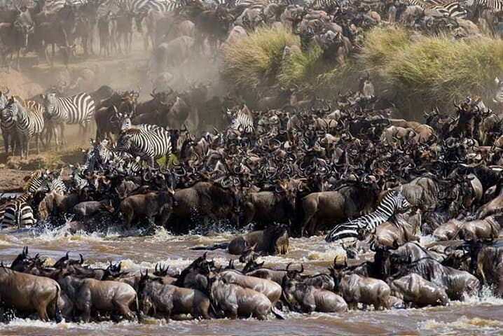 3-Day Serengeti and Ngorongoro Budget Safari: Wild Wonders on a Practical Timeline photo 5