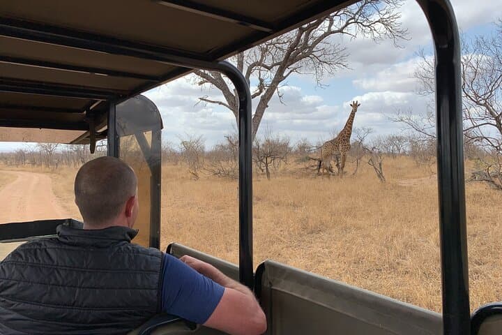 Kruger National Park Morning Game Drive — Early Predator Safari from Hazyview photo 4