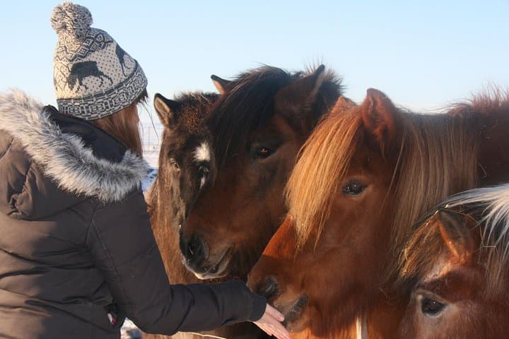 Lake Myvatn Day Trip from Akureyri: Nature Baths, Godafoss, Hverir & Dimmuborgir photo 4