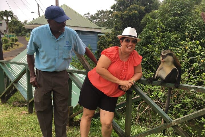 Grenada in a Nutshell — Deluxe Island Tour: Nutmeg, Chocolate, Rainforest & Waterfalls