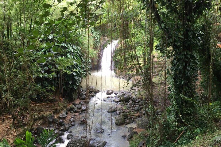 Grenada in a Nutshell — Deluxe Island Tour: Nutmeg, Chocolate, Rainforest & Waterfalls photo 3