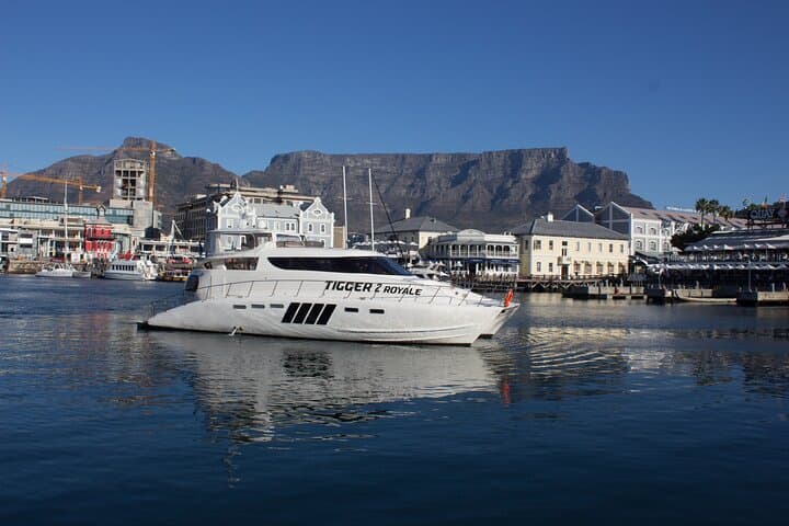 Cape Town Sunset & Champagne Cruise on Tigger 2 — Clifton to Table Bay photo 6