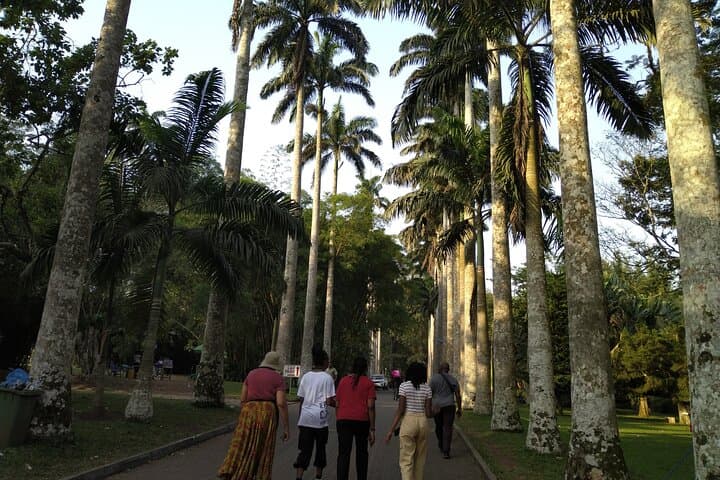 Aburi Botanical Gardens & Cocoa Tour from Accra — Half-Day Private Transfer photo 2