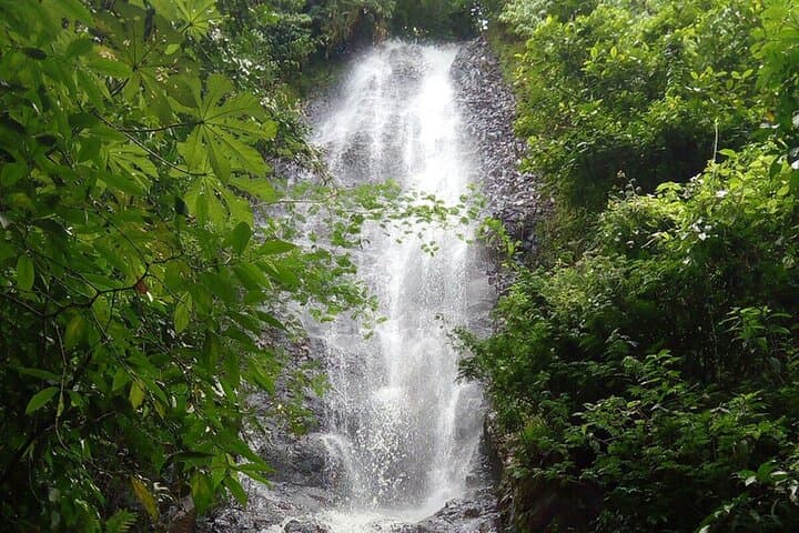 Viva Brotas Ecopark: Waterfall Trail and Lunch in Brotas photo 3