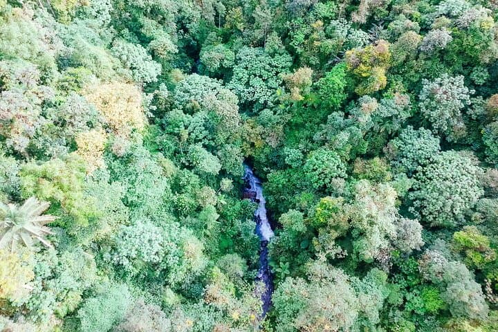 Mindo Cloud Forest Full-Day Tour from Quito: Waterfalls, Butterflies & Canopy photo 4