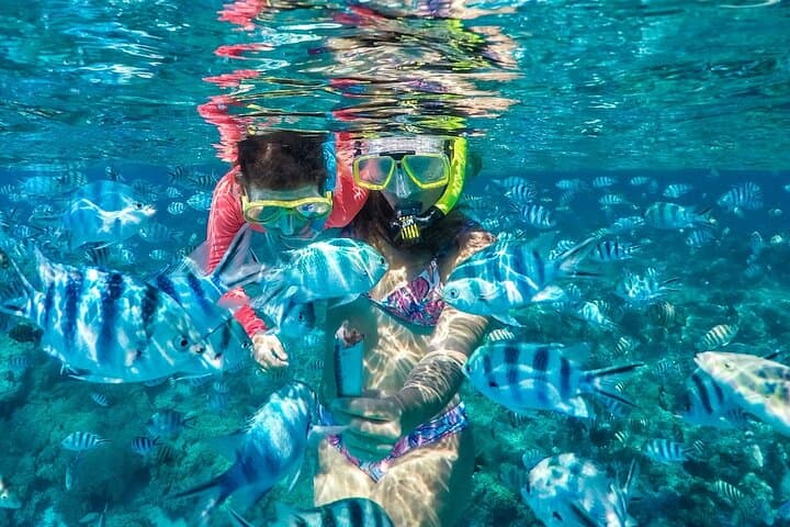 Bora Bora Reef Discovery: Private Lagoon Treasure Hunt for Kids photo 3