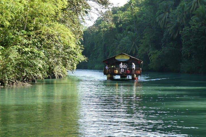 Bohol Day Tour: Chocolate Hills, Tarsiers & Loboc River Cruise photo 4