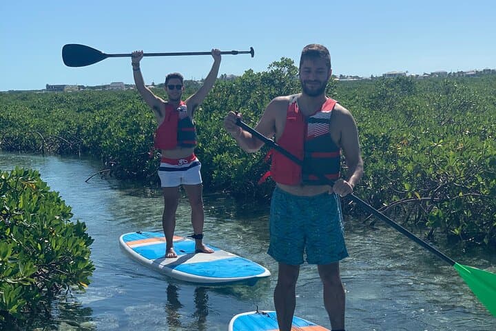 Mangroves Stand-Up Paddleboard Tour in Providenciales — Paddle the National Reserve photo 2