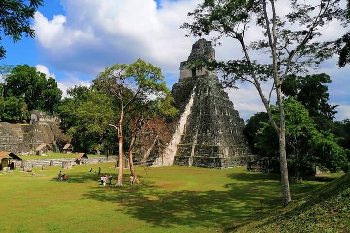 Tikal Day Tour from Flores: Explore Mayan Ruins & Rainforest Wildlife photo 2
