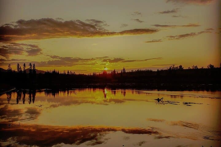 Fall Color Yukon Lodge Tour: Huskies, Canoeing & Wildlife from Whitehorse photo 6