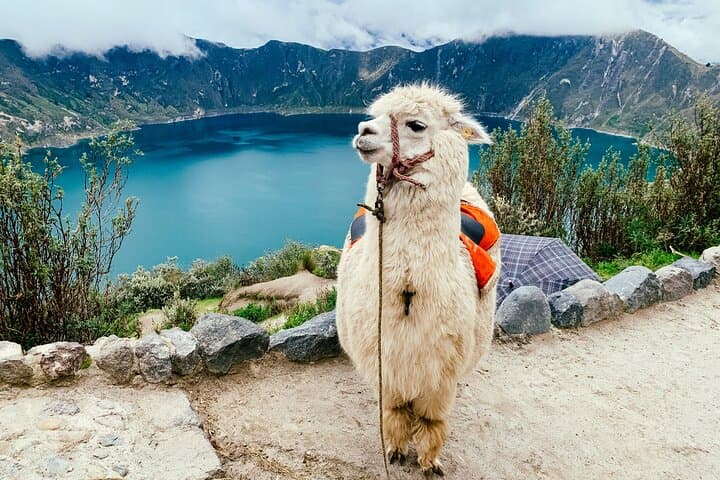 Full-Day Quilotoa Lagoon Hike, Tigua Artisans & Local Lunch photo 3