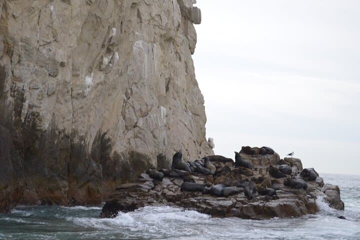 Cabo Highlights: Sail, Snorkel, Taste and Explore the Arch in a Day photo 6